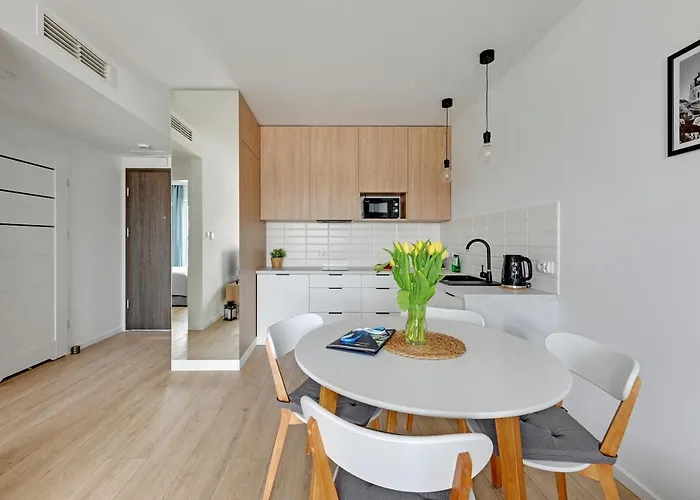 Port Krynica Blisko Centrum Krynica Morska