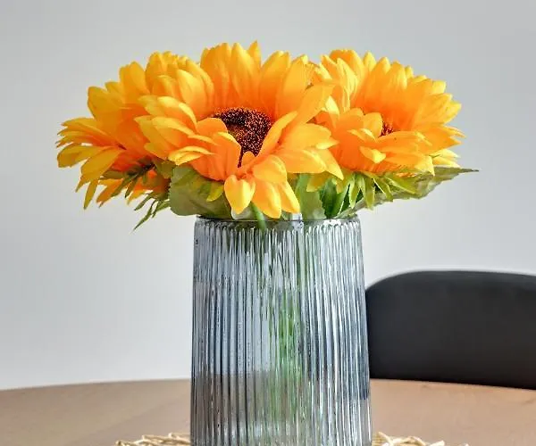 Port Krynica Blisko Centrum